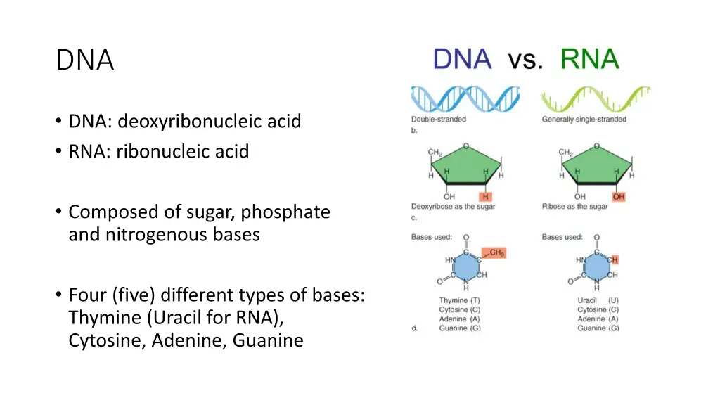 slide6