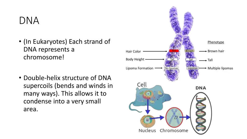 slide7