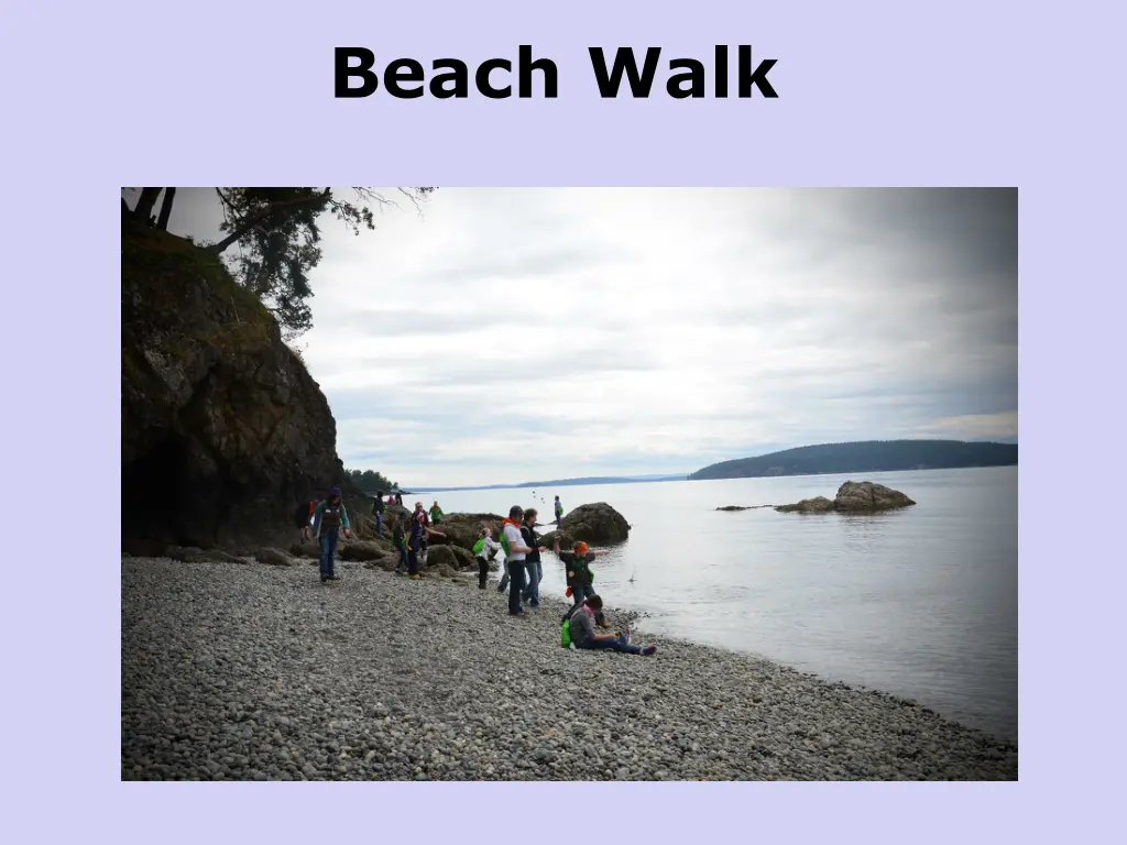 beach walk