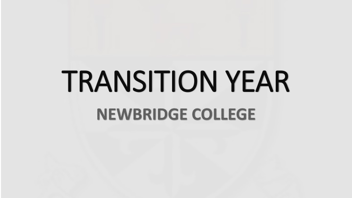 transition year transition year newbridge college