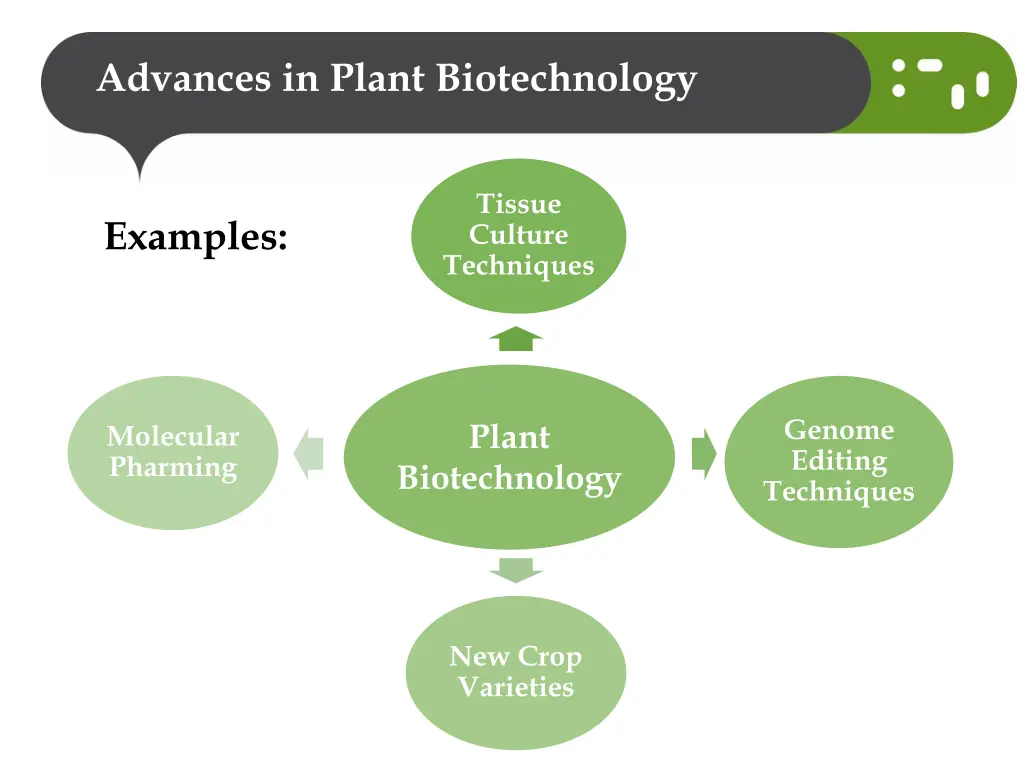 advances in plant biotechnology