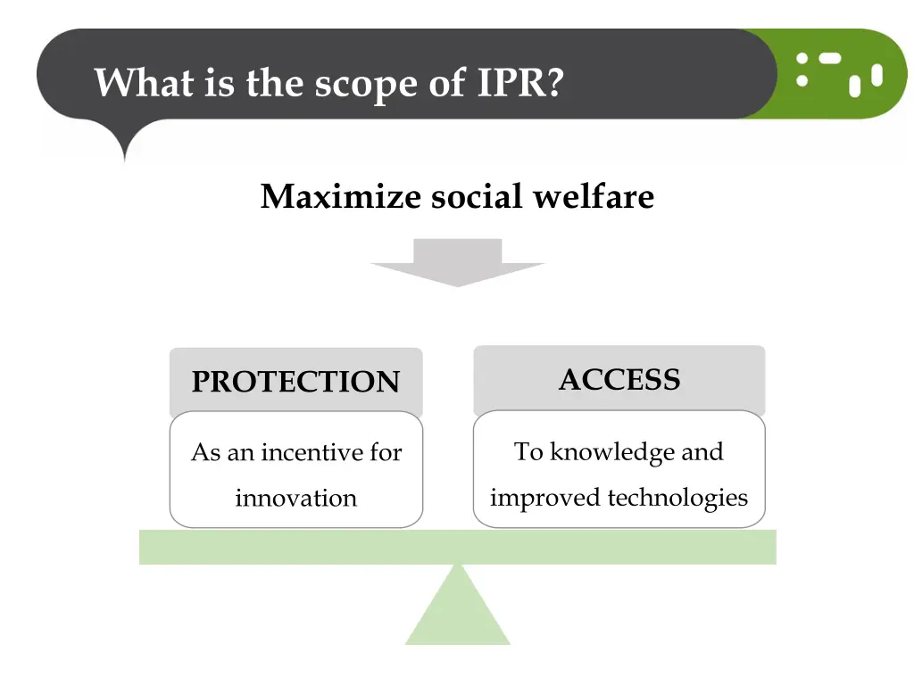 what is the scope of ipr