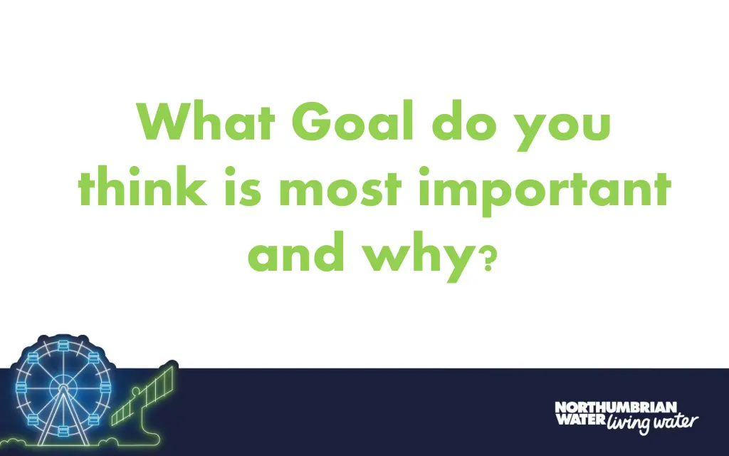 what goal do you think is most important and why