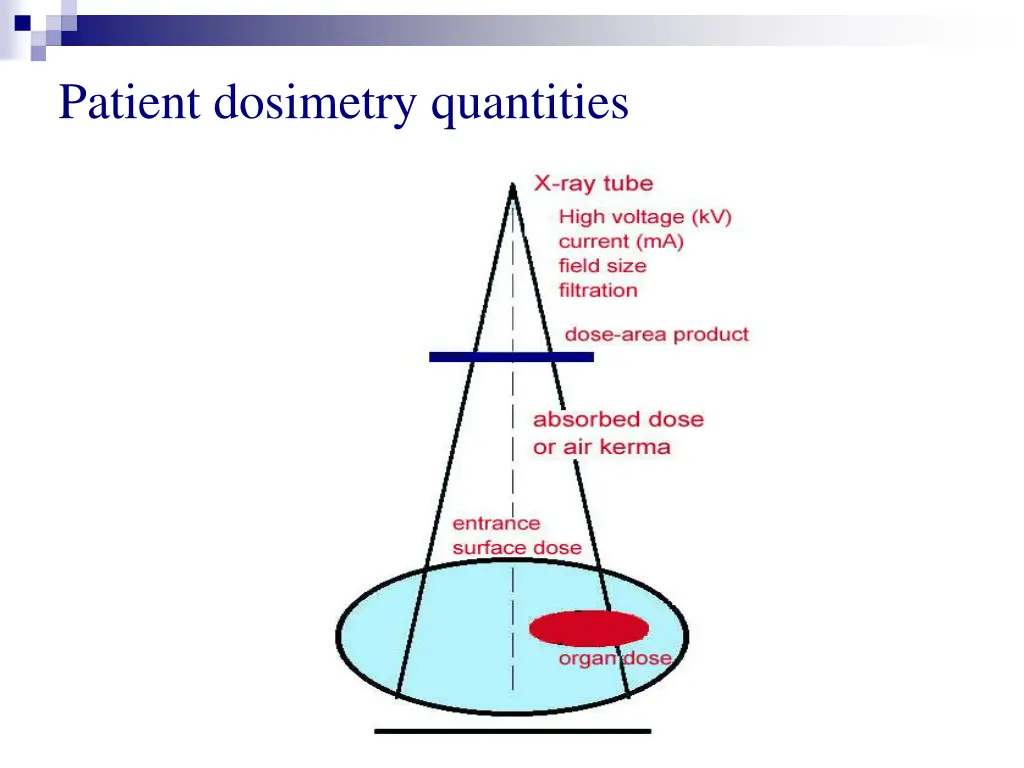 patient dosimetry quantities