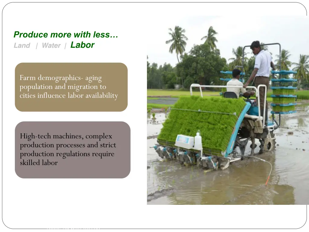 produce more with less land water labor 1