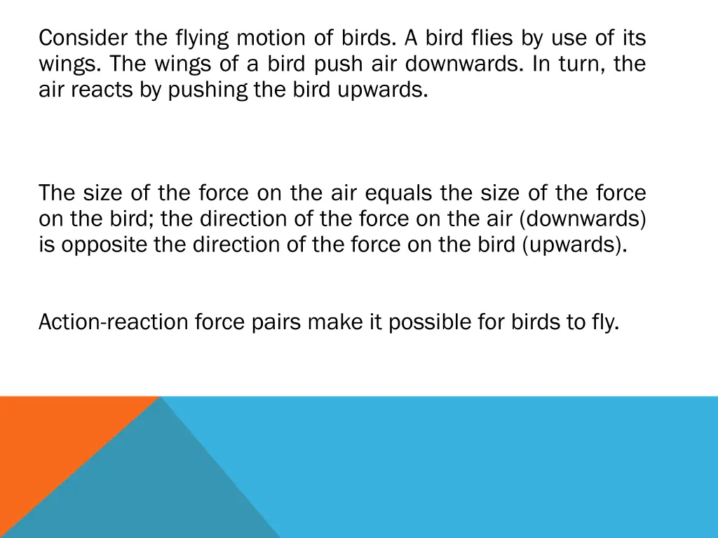 consider the flying motion of birds a bird flies