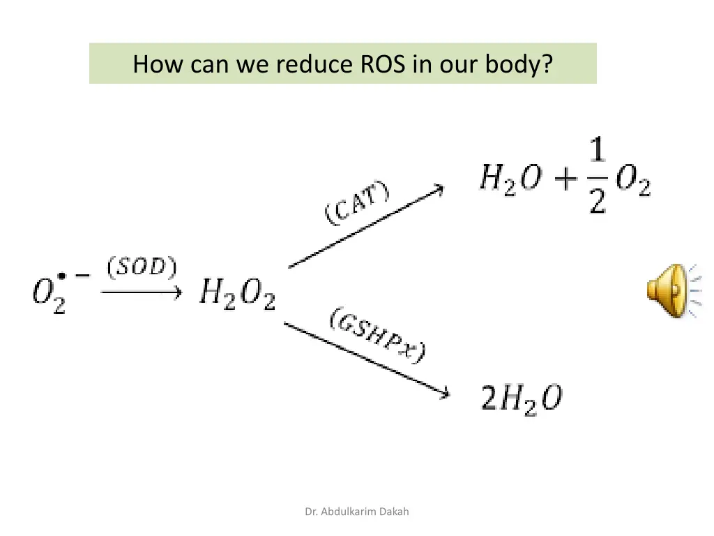 how can we reduce ros in our body