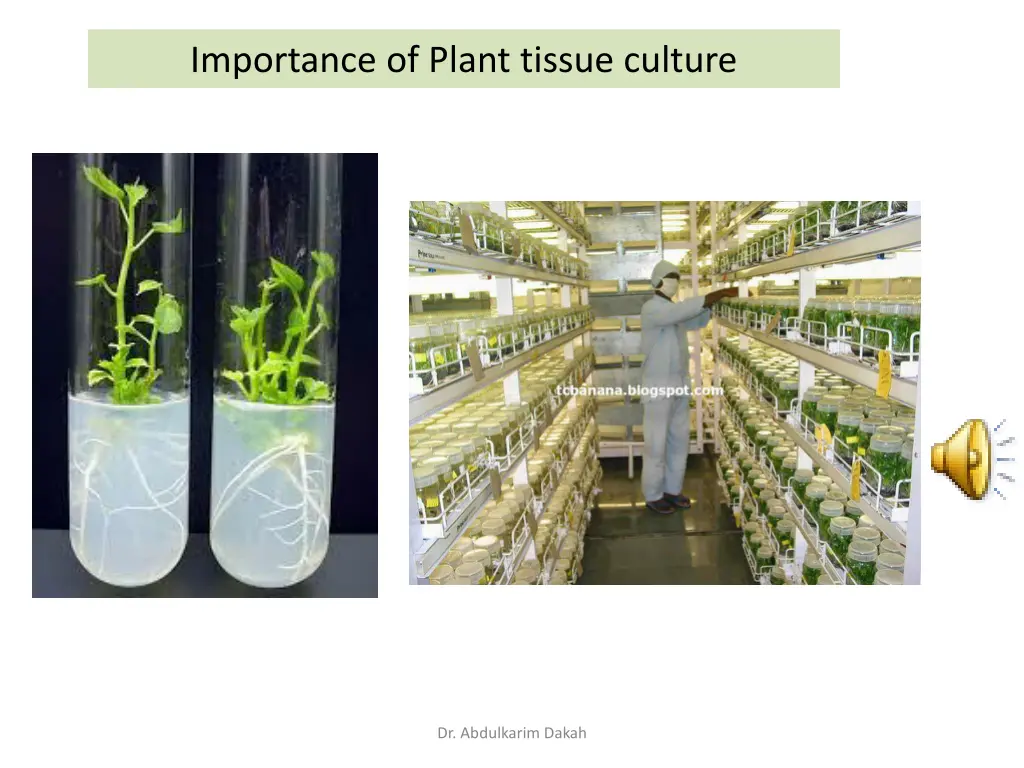 importance of plant tissue culture