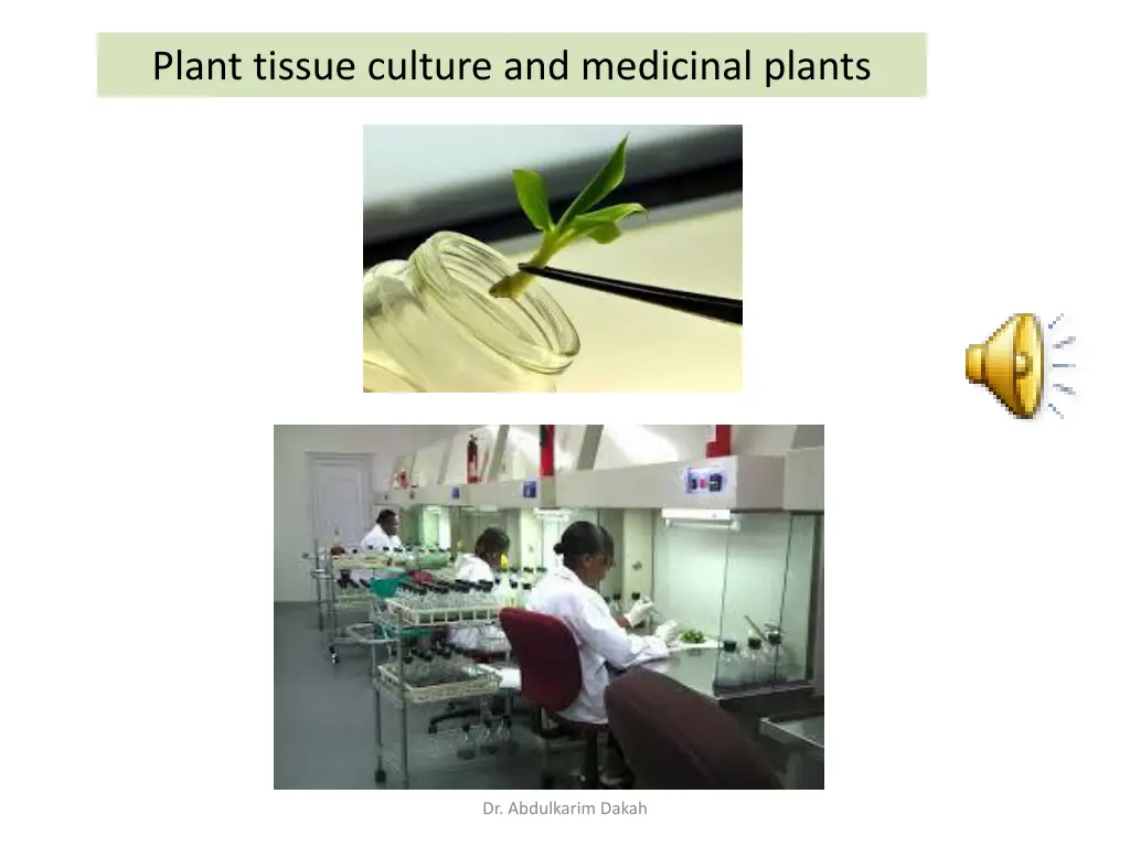 plant tissue culture and medicinal plants