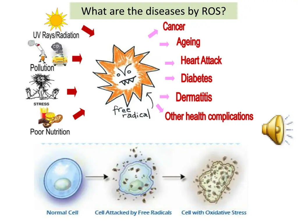 what are the diseases by ros