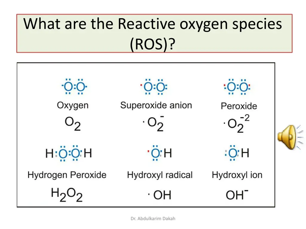 what are the reactive oxygen species ros