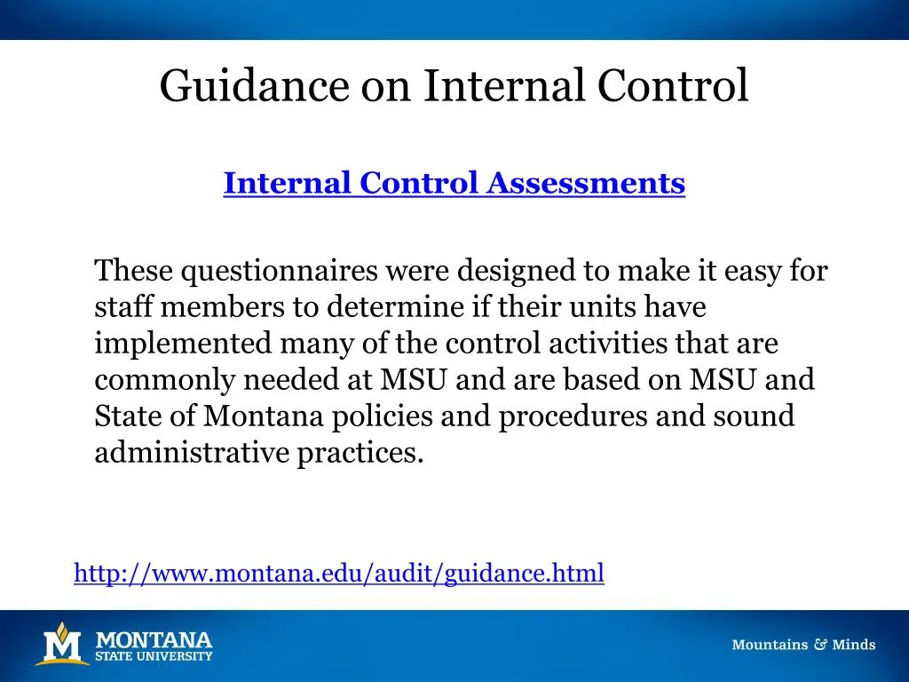 guidance on internal control