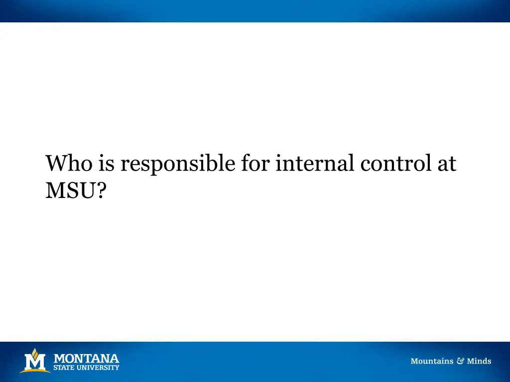 who is responsible for internal control at msu