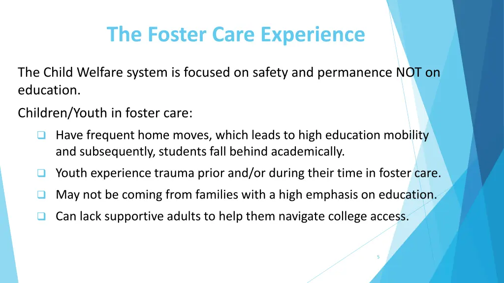 the foster care experience