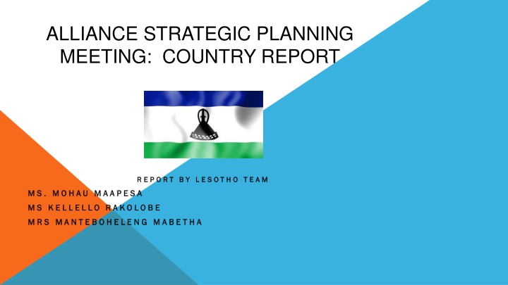 alliance strategic planning meeting country report