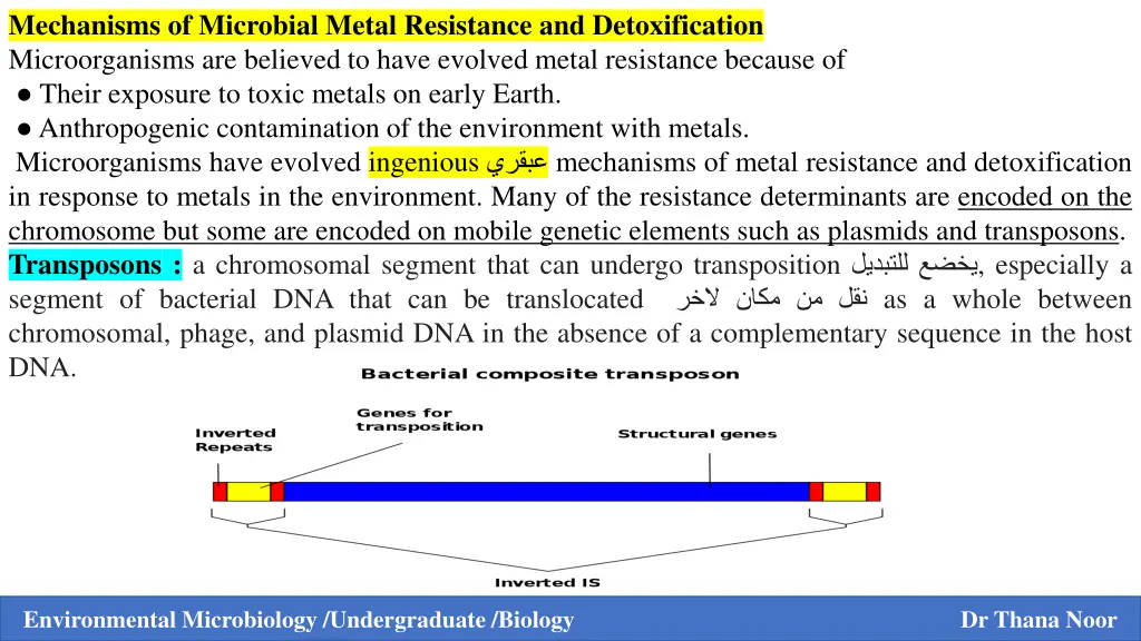 mechanisms of microbial metal resistance