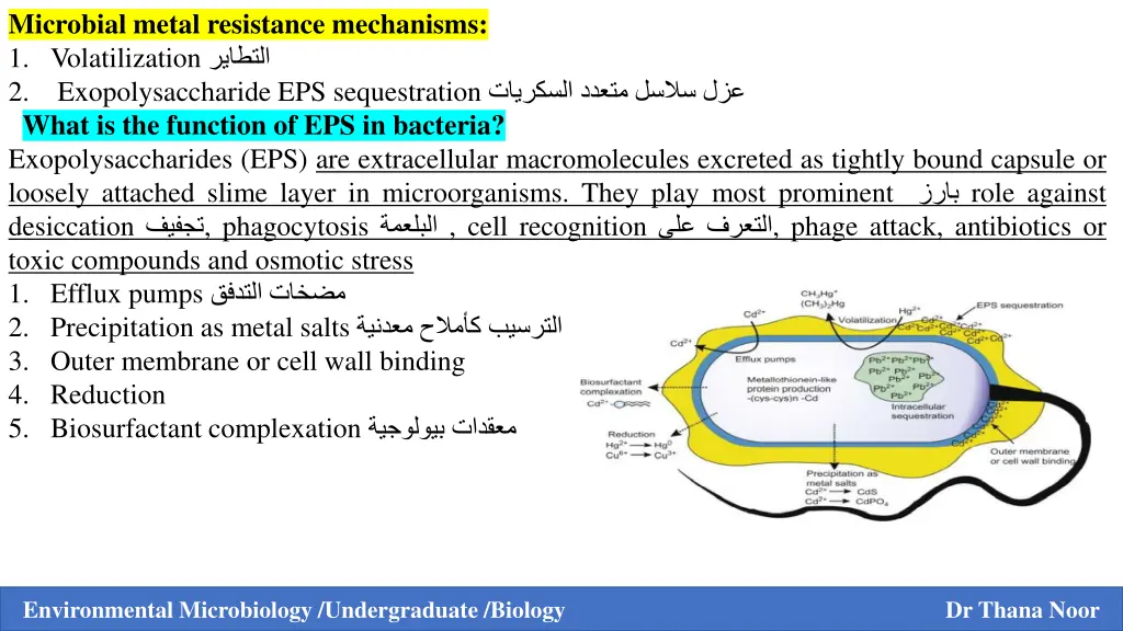 microbial metal resistance mechanisms