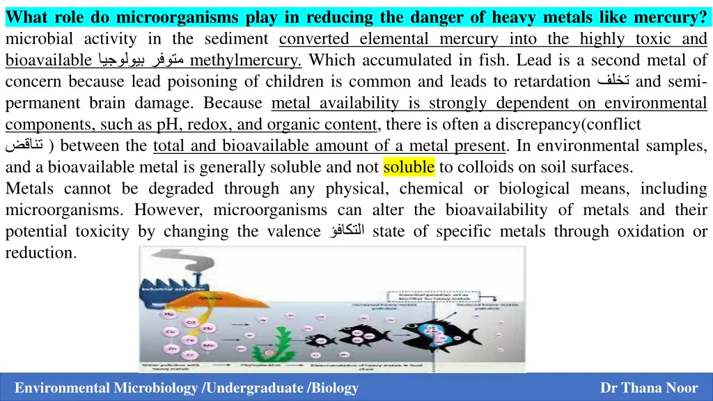 what role do microorganisms play in reducing