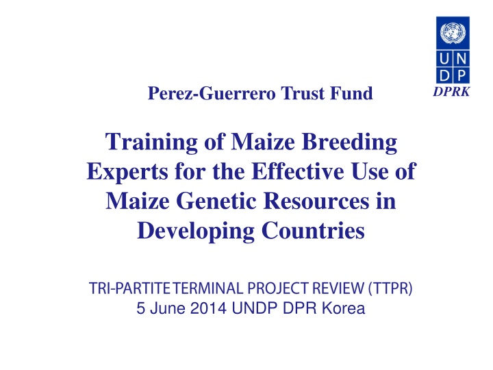 perez guerrero trust fund