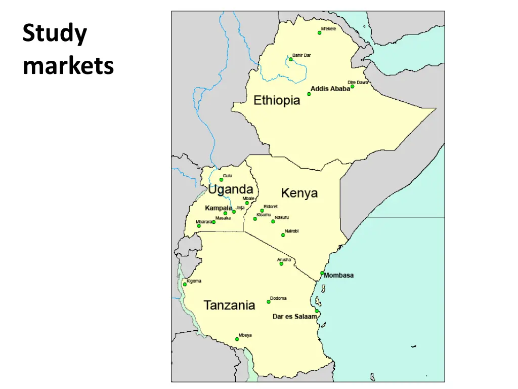 study markets