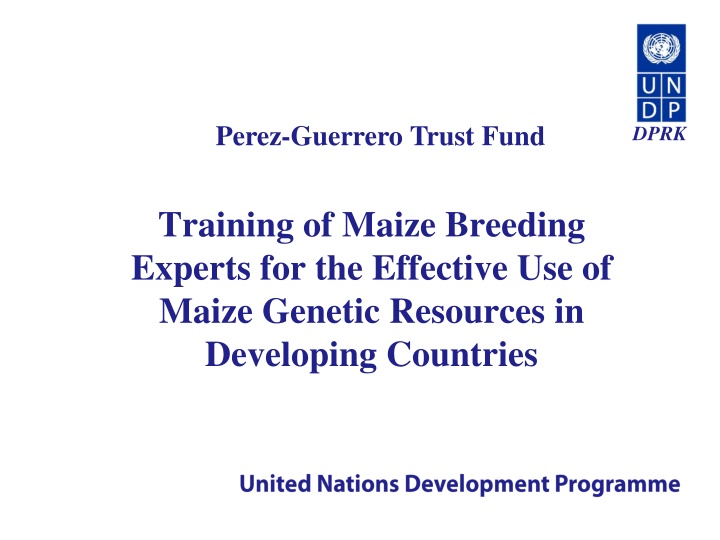 perez guerrero trust fund