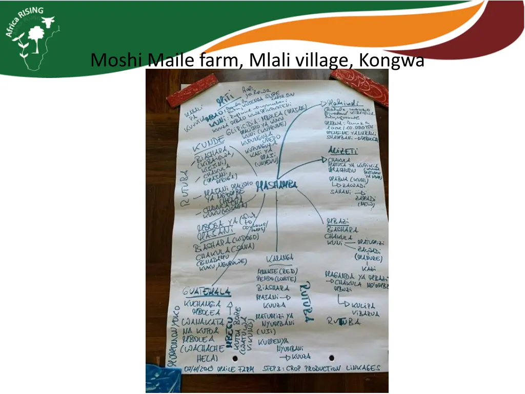 moshi maile farm mlali village kongwa 1