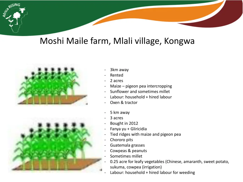 moshi maile farm mlali village kongwa 3