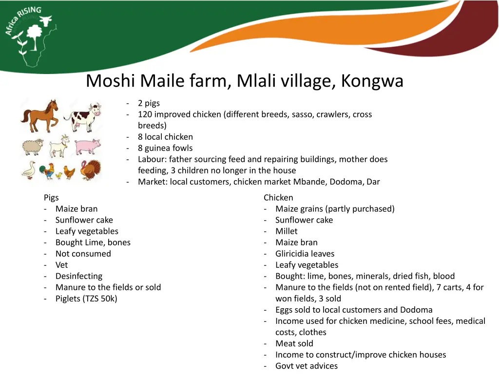 moshi maile farm mlali village kongwa 4