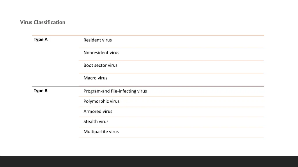 virus classification