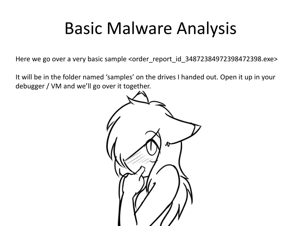 basic malware analysis