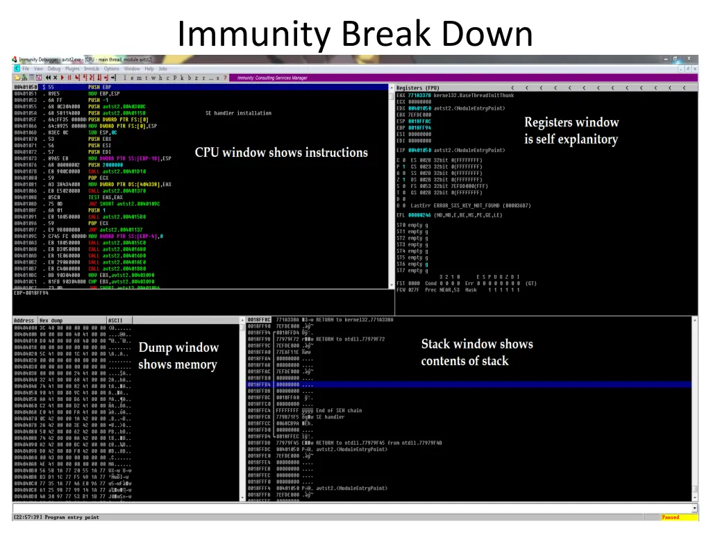 immunity break down