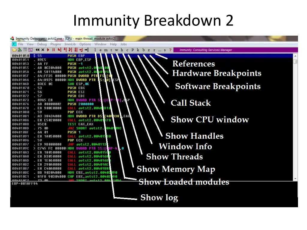 immunity breakdown 2