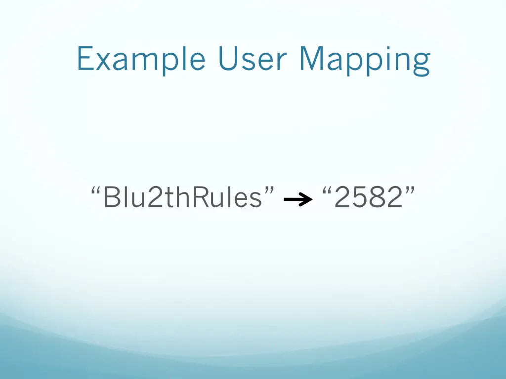 example user mapping