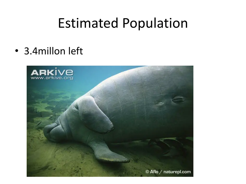 estimated population