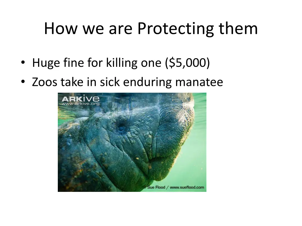 how we are protecting them