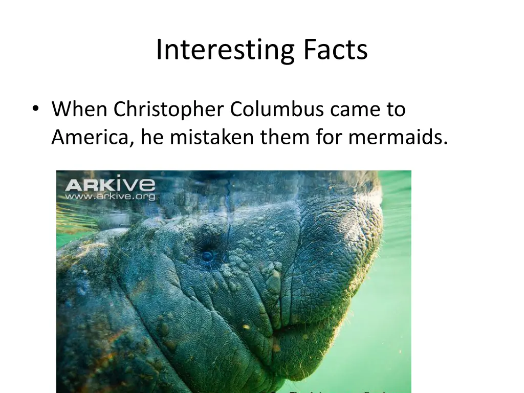 interesting facts