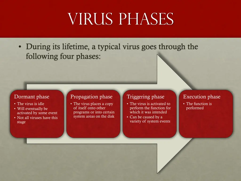 virus phases