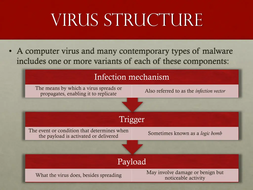 virus structure