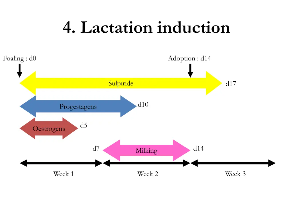 4 lactation induction 1