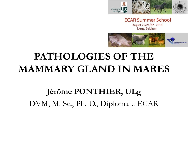 pathologies of the mammary gland in mares