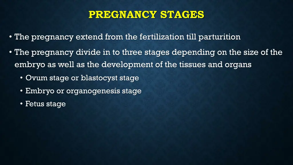 pregnancy stages