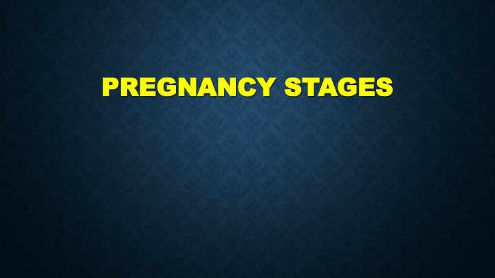 pregnancy stages pregnancy stages