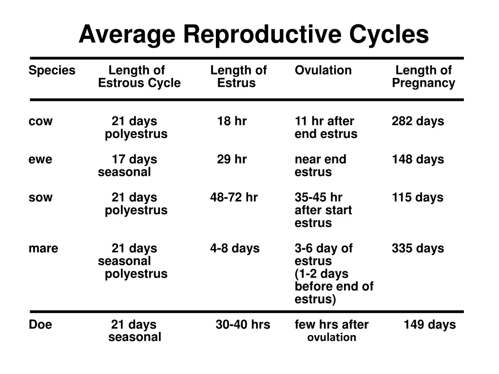 average reproductive cycles