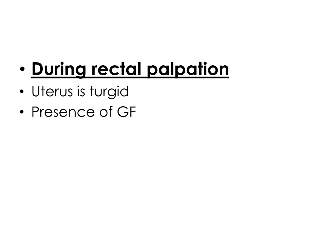 during rectal palpation uterus is turgid presence