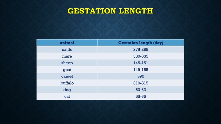 gestation length