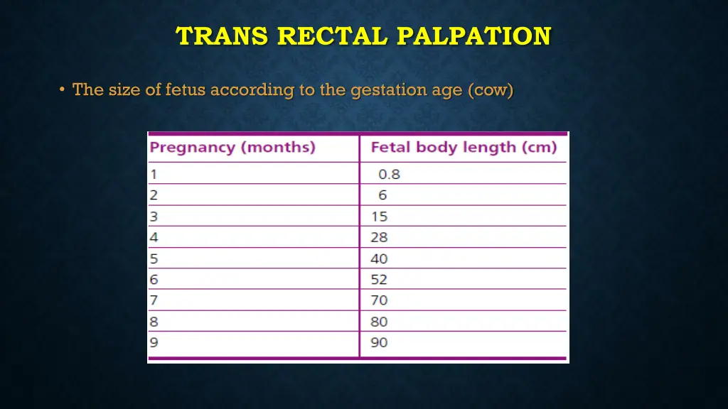 trans rectal palpation 2