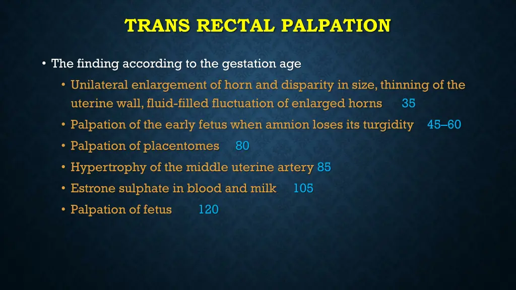 trans rectal palpation 3