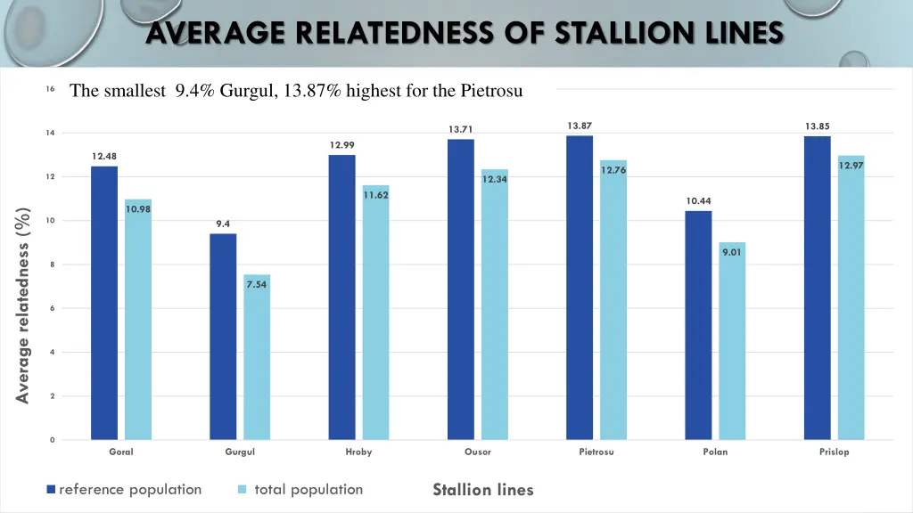 average relatedness of stallion lines