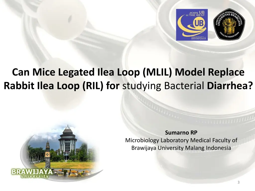 can mice legated ilea loop mlil model replace