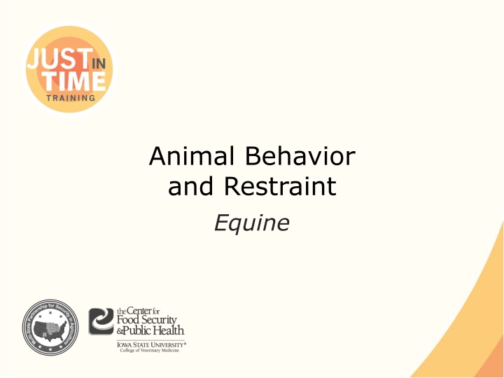 animal behavior and restraint equine